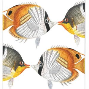 CARTE CHAETODON EPHIPPIUM