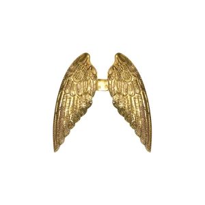 EX VOTO AILES