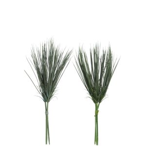 HERBES BOTTE VERT