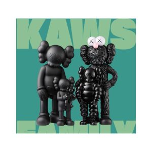 LIVRE KAWS-FAMILY