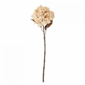 HYDRANGEA TIGE DE FLEUR BLANC/ROSE