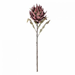 PROTEA TIGE DE FLEUR VIOLET