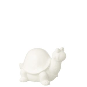 TORTUE EXTÉRIEUR BLANC