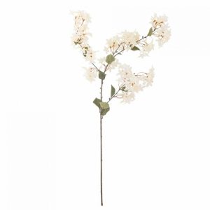 MYRTLE TIGE DE FLEUR BLANC
