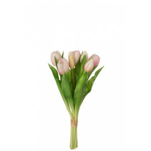 BOUQUET DE TULIPES ROSES 7P