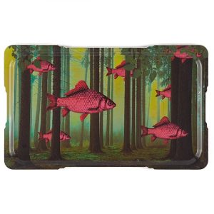 PLATEAU GEANT DREAMFISH