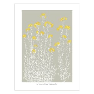 POSTER IMMORTELLES 30X40 CM