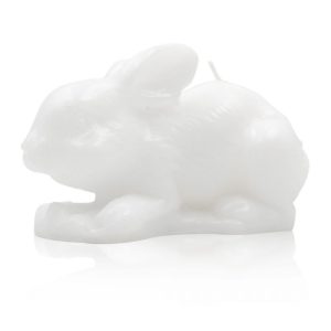 LAPIN BLANC