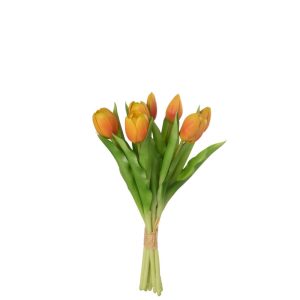 BOUQUET DE TULIPES ORANGES PM 7P