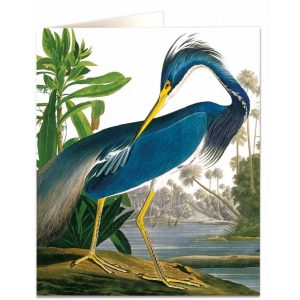 CARTE HERON