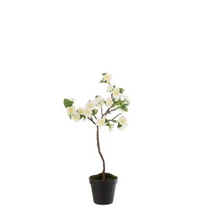 ARBRE EN FLEUR