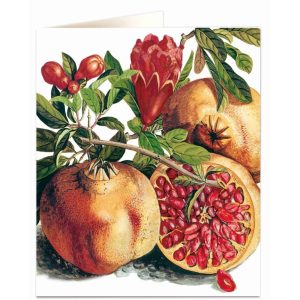 CARTE POMEGRANATE