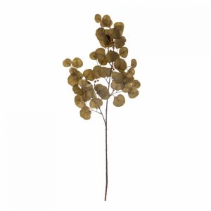 EUCALYPTUS TIGE DE FLEUR MARRON