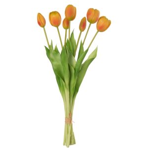 BOUQUET DE TULIPES ORANGES GM 7P