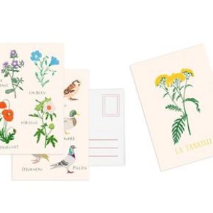 SET 10 CARTES FLEURS
