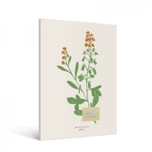 CARNET FLEURS BOTANIQUES