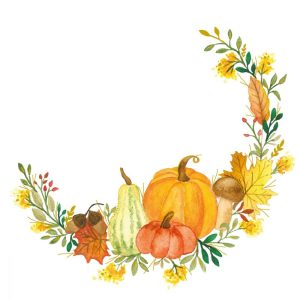 SERVIETTE PUMPKIN FLAIR WHITE 33X33