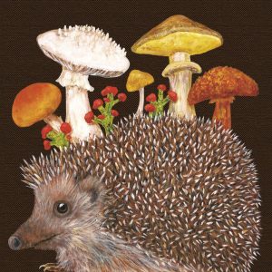 SERVIETTE HAROLD THE HEDGEHOG 33X33