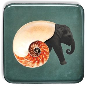 VIDE POCHE CARRE SHELLEPHANT