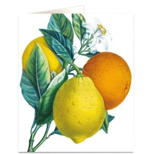 CARTE ORANGES AND LEMONS