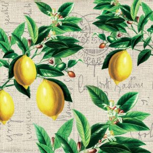 SERVIETTE CAPRI 33X33