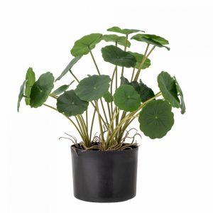 PLANTE ARTIFICIELLE COOPER