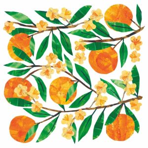 SERVIETTE TRACEY'S ORANGINA 25X25