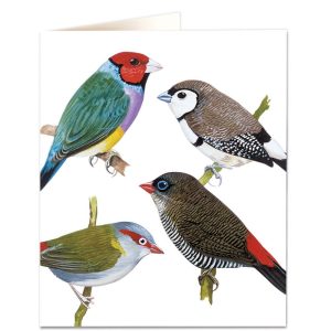 CARTE FINCHES