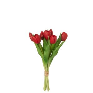 BOUQUET DE TULIPES ROUGES PM 7P