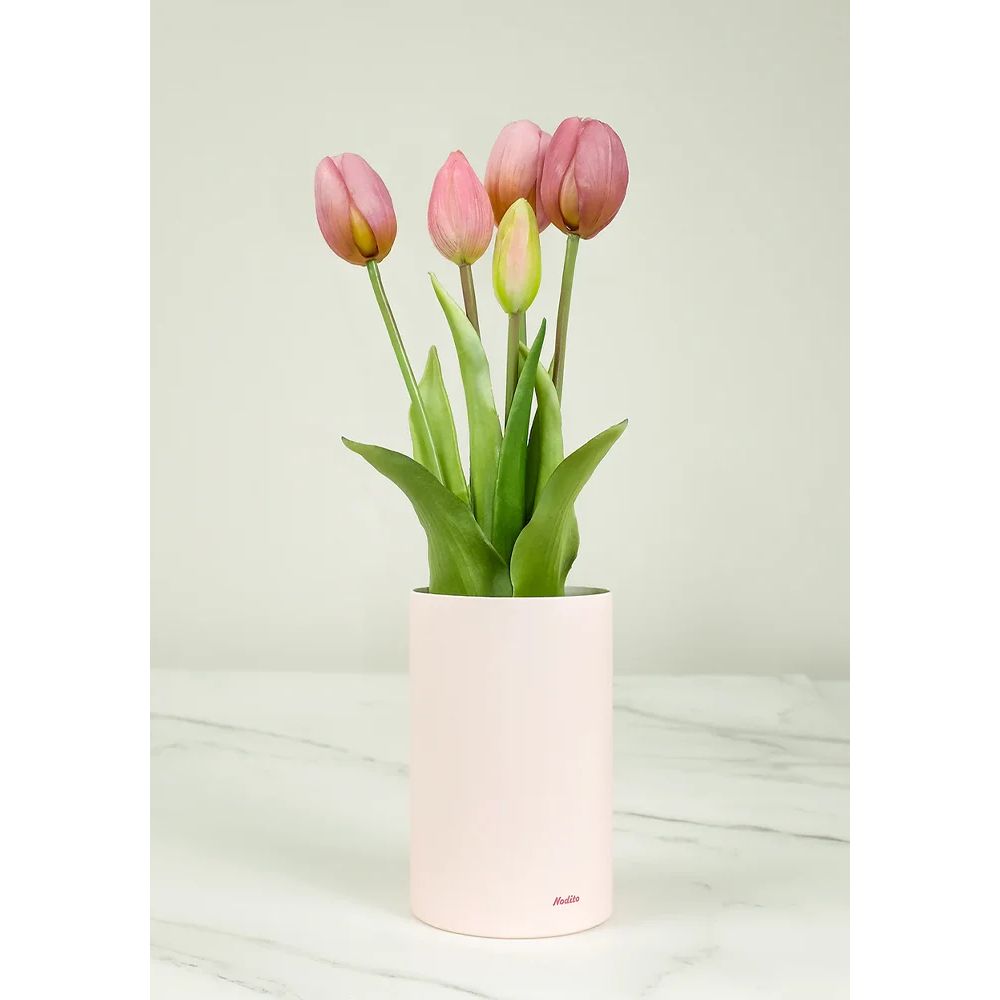 TULIPES PARFUMEES MAUVE