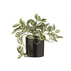 PLANTE ARTIFICIELLE TRADESCANTIA  VERT/BLANC