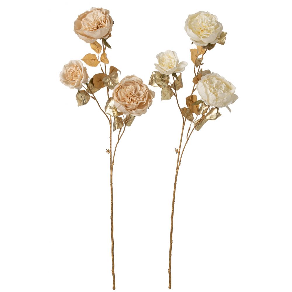 ROSE DE CHOU BLANC/ECRU