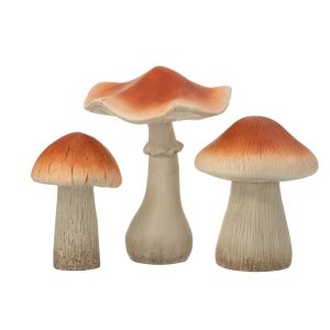 CHAMPIGNON MAT MAGNESIUM S
