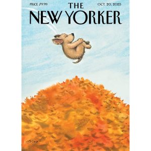 POSTER THE NEW YORKER 292 BLISS 40X50 CM
